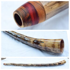 Didgeridoo #692  Key: G#