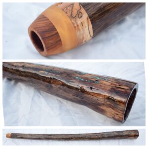Didgeridoo #684  Key: C#