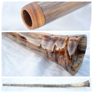 Didgeridoo# 686 Key: C
