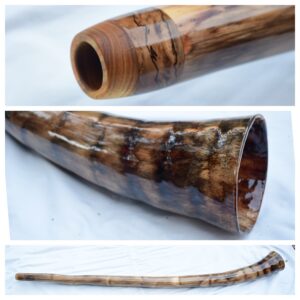 Didgeridoo #694   Key: C#