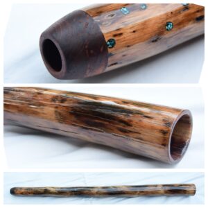Didgeridoo #695  Key: E