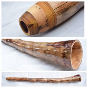 Didgeridoo #700  Key:  D/D#