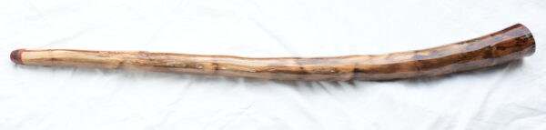 Didgeridoo #584  Key: A - Image 4