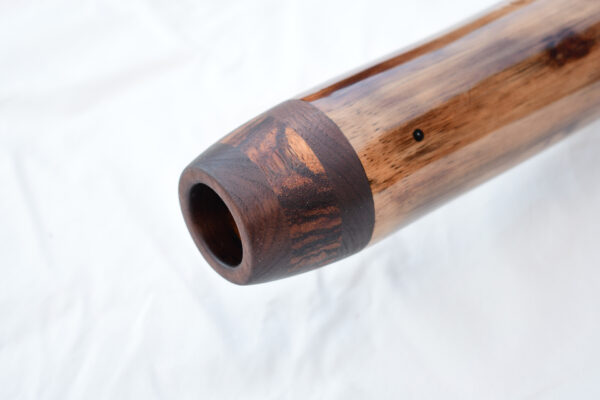 Didgeridoo #593  Key: C - Image 2