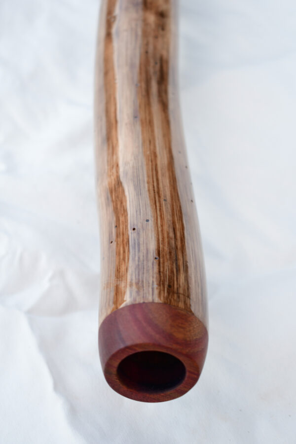 Didgeridoo #594  Key: C# - Image 6