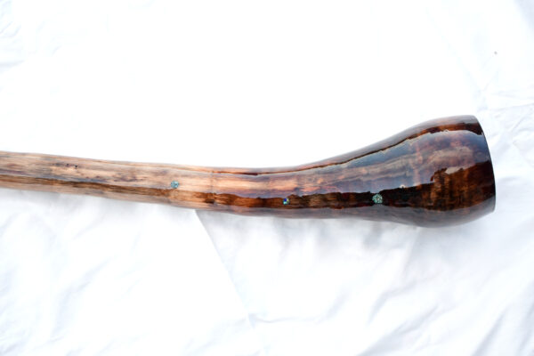 Didgeridoo #594  Key: C# - Image 9