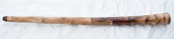 Didgeridoo #595  Key: B/C - Image 4