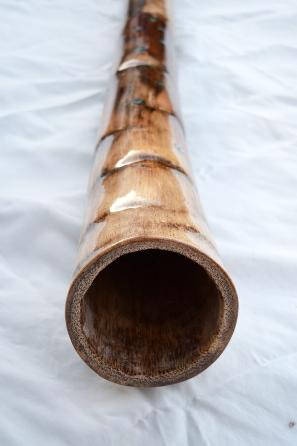 Didgeridoo #595  Key: B/C - Image 6