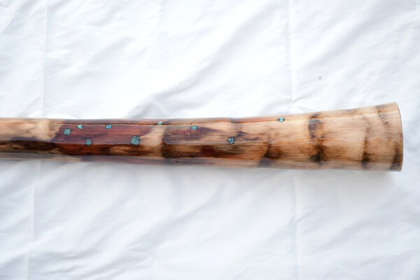 Didgeridoo #595  Key: B/C - Image 7