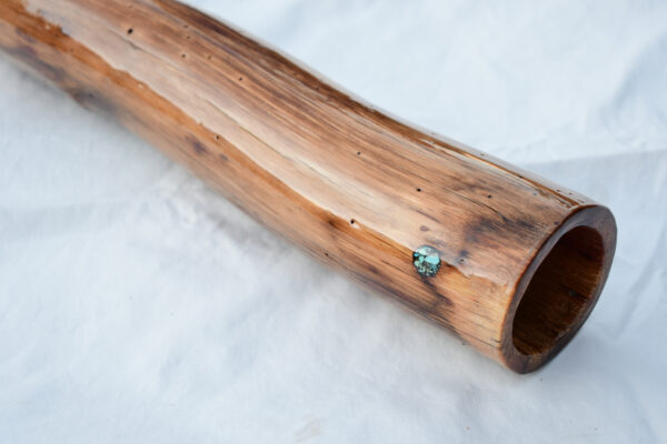 Didgeridoo #597  Key: A# - Image 3