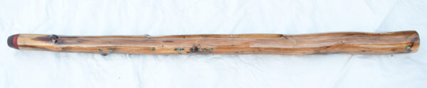 Didgeridoo #597  Key: A# - Image 4