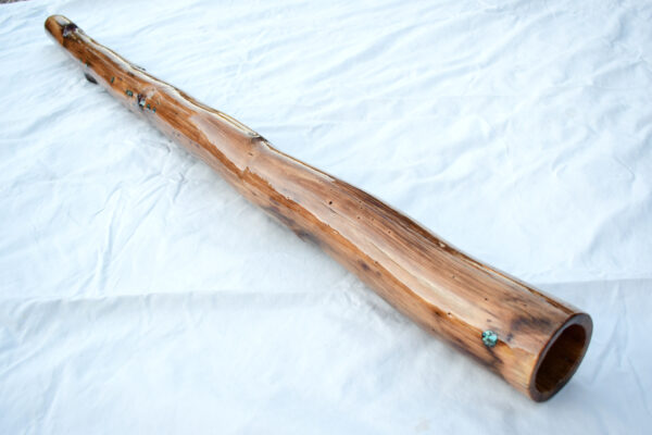 Didgeridoo #597  Key: A# - Image 5