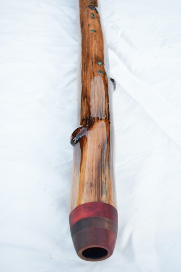 Didgeridoo #597  Key: A# - Image 6