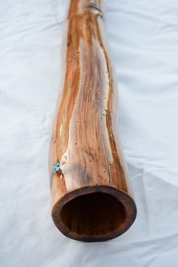 Didgeridoo #597  Key: A# - Image 7