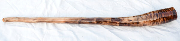 Didgeridoo #599  Key: C# - Image 4