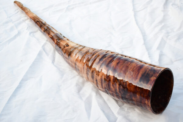 Didgeridoo #599  Key: C# - Image 5