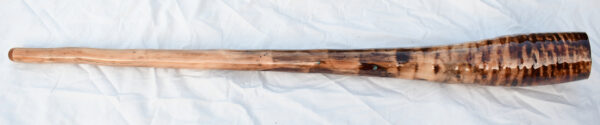 Didgeridoo #599  Key: C# - Image 10