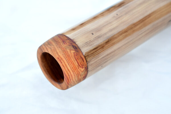 Didgeridoo #600  Key: C# - Image 2