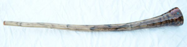 Didgeridoo #600  Key: C# - Image 4