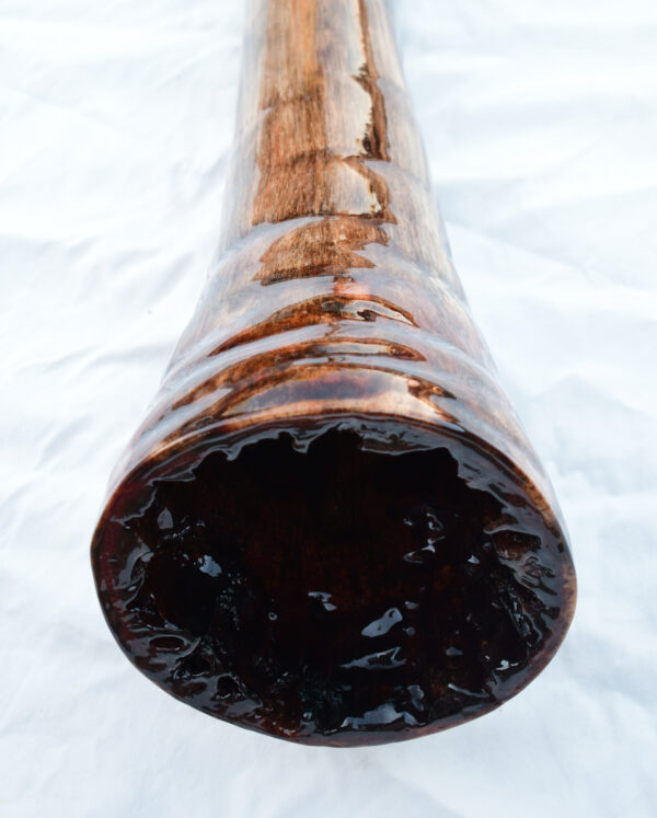 Didgeridoo #600  Key: C# - Image 6