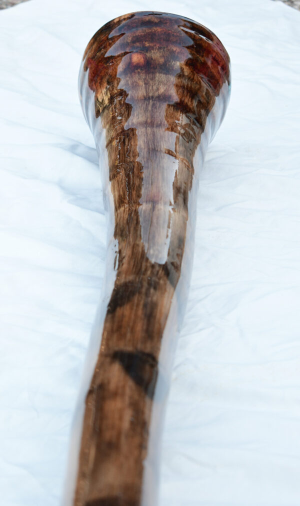 Didgeridoo #600  Key: C# - Image 9