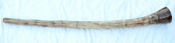 Didgeridoo #601  Key: C# - Image 4