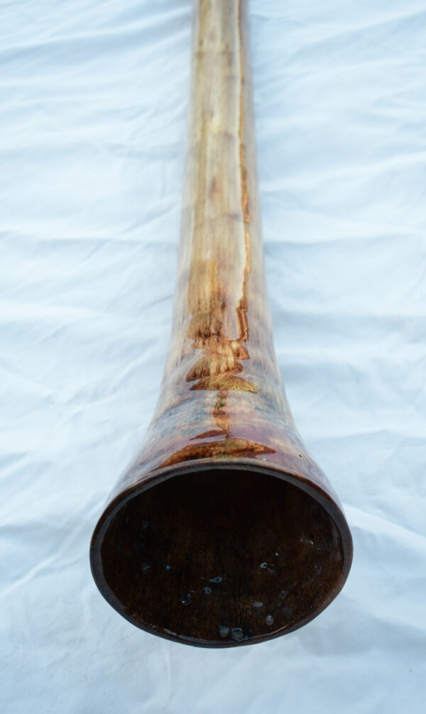 Didgeridoo #601  Key: C# - Image 9