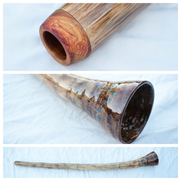 Didgeridoo #601  Key: C#