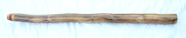 Didgeridoo #602 - Image 4