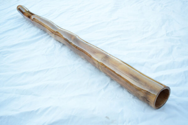 Didgeridoo #602 - Image 5