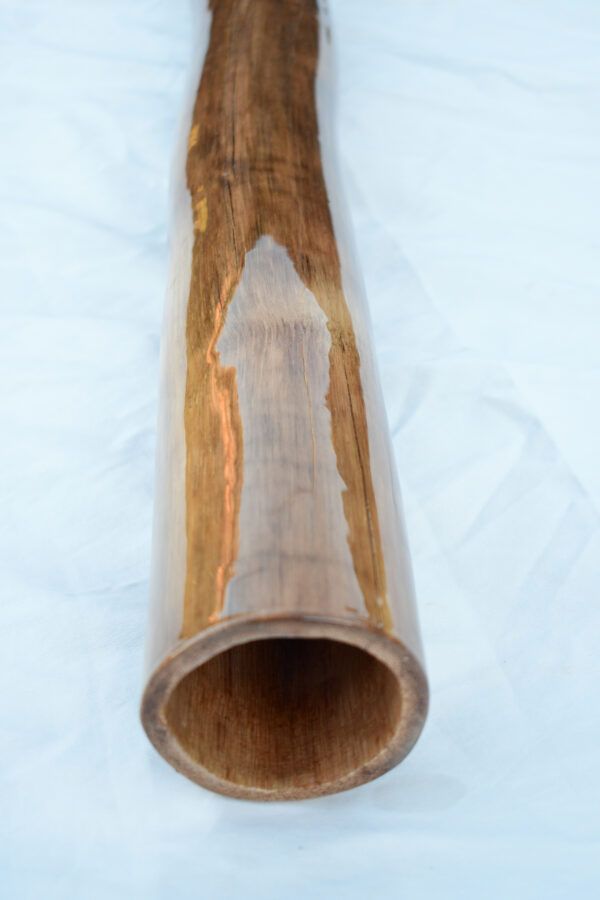 Didgeridoo #602 - Image 7