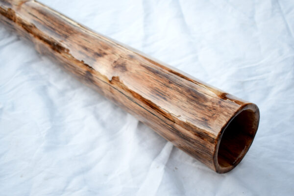 Didgeridoo #603  Key: G - Image 3