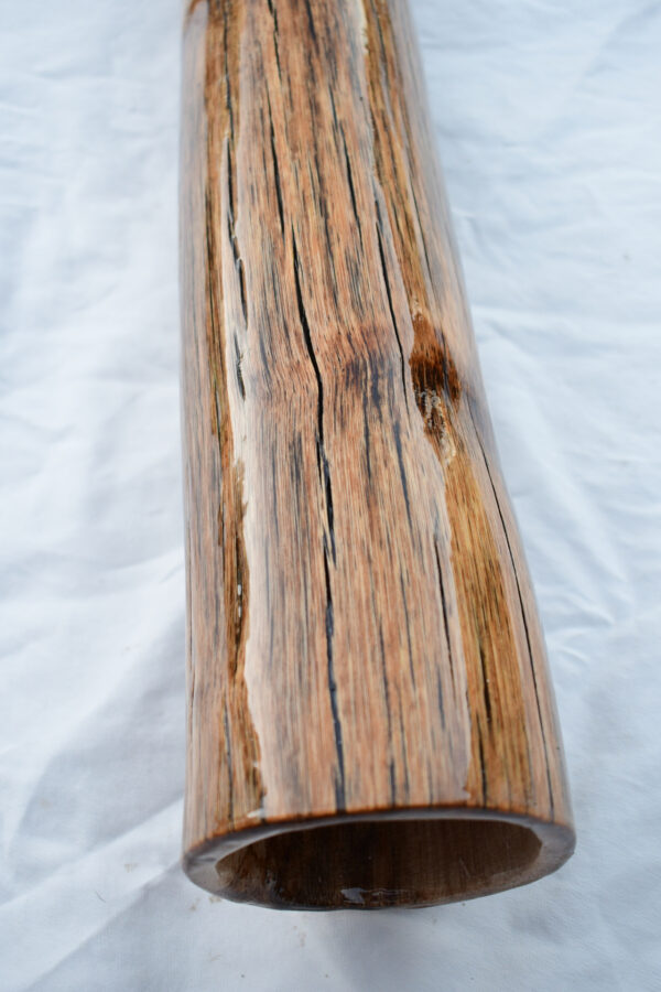 Didgeridoo #603  Key: G - Image 6