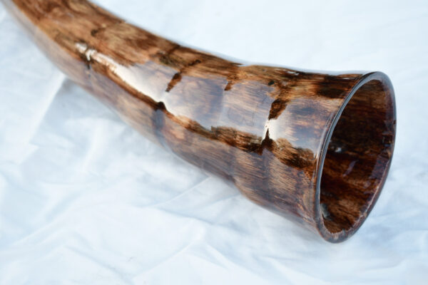 Didgeridoo #604  Key: D# - Image 3