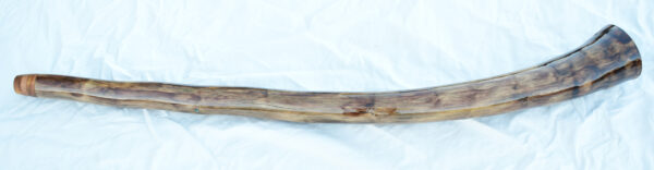 Didgeridoo #604  Key: D# - Image 4