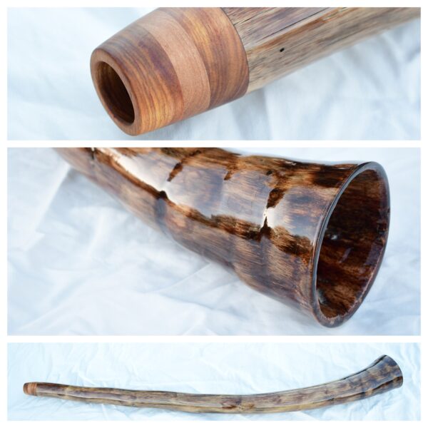 Didgeridoo #604  Key: D#