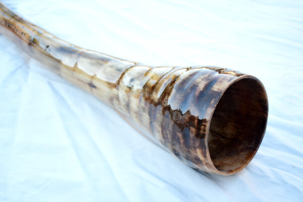 Didgeridoo #607  Key: D# - Image 3