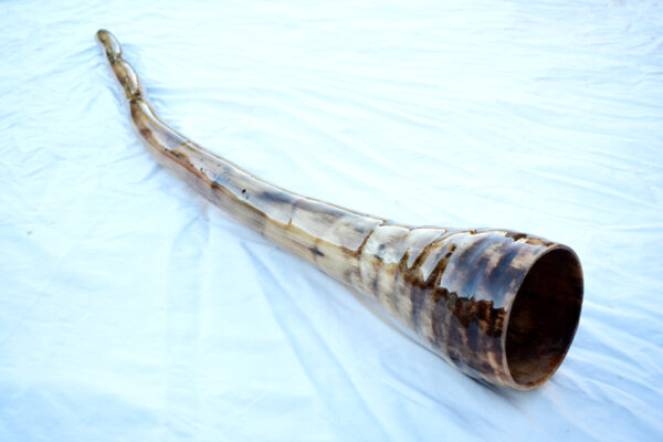 Didgeridoo #607  Key: D# - Image 5