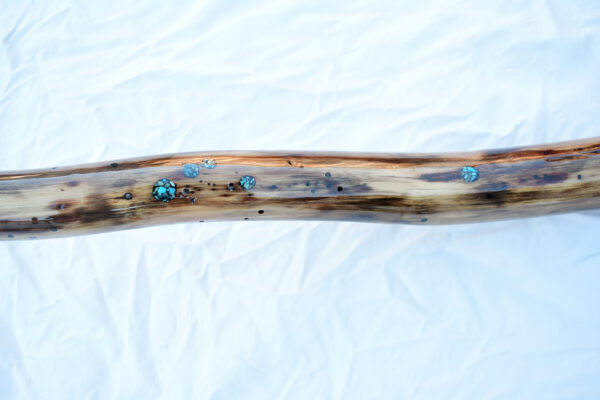 Didgeridoo #607  Key: D# - Image 9