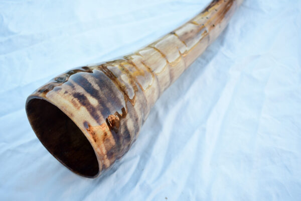 Didgeridoo #607  Key: D# - Image 10