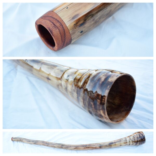 Didgeridoo #607  Key: D#