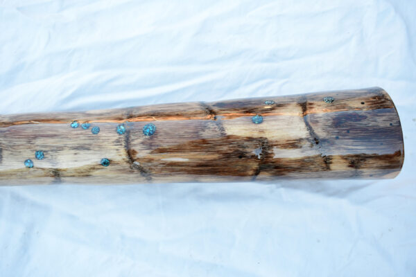 Didgeridoo #608  Key: B/A# - Image 7