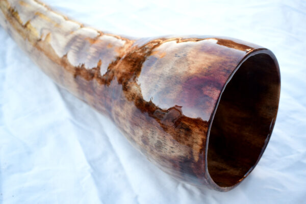 Didgeridoo #609  Key: C - Image 3