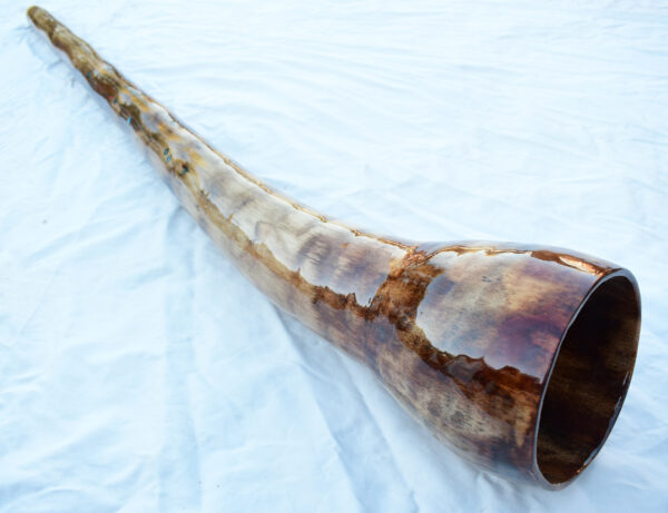 Didgeridoo #609  Key: C - Image 5