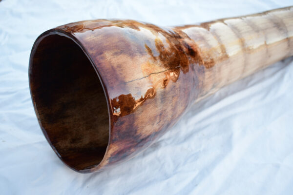 Didgeridoo #609  Key: C - Image 7