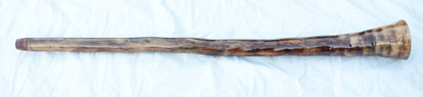 Didgeridoo #610  Key: D - Image 4