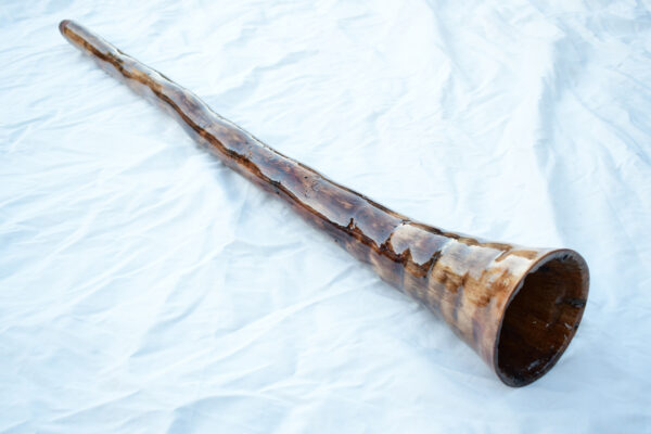 Didgeridoo #610  Key: D - Image 5