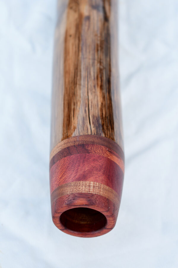 Didgeridoo #610  Key: D - Image 7