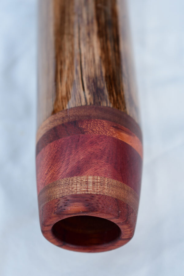 Didgeridoo #610  Key: D - Image 11