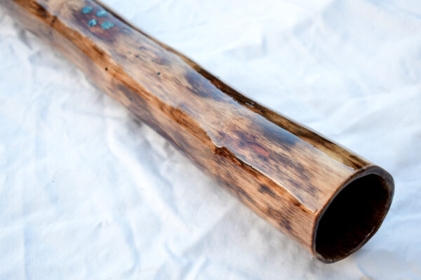 Didgeridoo #611  Key: D - Image 4